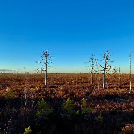 Feriehus Marika Puhkekuela - Nurgatalu Oeoemaja 