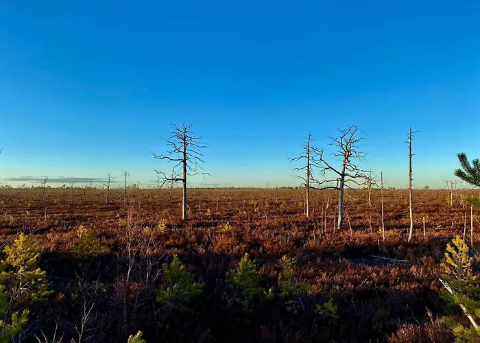 Feriehus Marika Puhkekuela - Nurgatalu Oeoemaja 