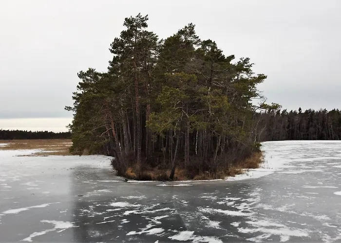 Holiday home Marika Puhkekuela - Nurgatalu Oeoemaja 