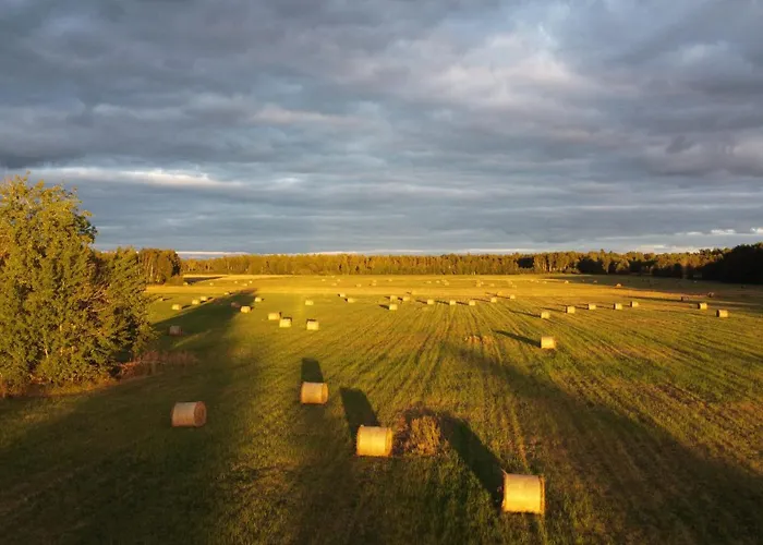 Marika Puhkekuela - Nurgatalu Oeoemaja 